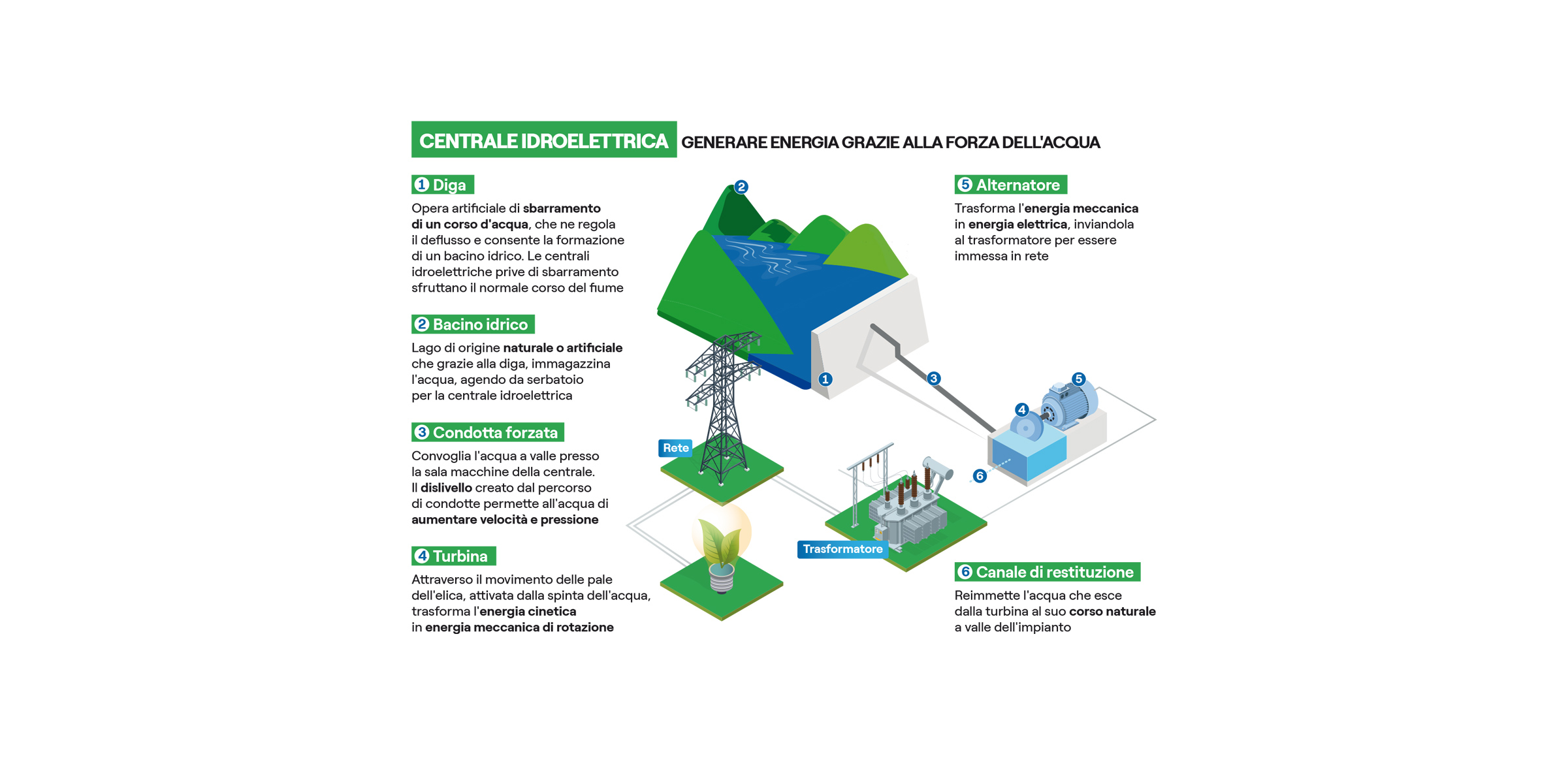 Esercizi Ecologia Completo PDF | PDF, image size:2401x1161