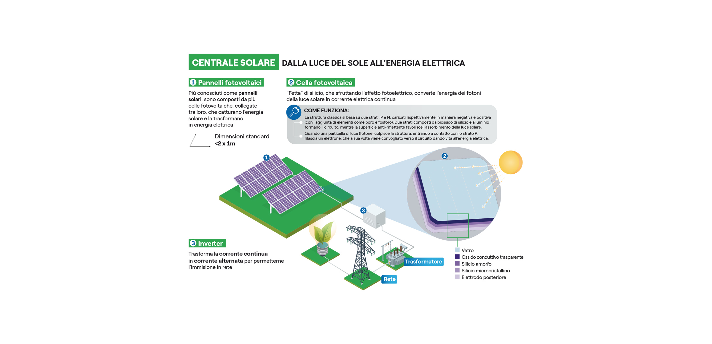 flusso di energia in un diagramma dell'ecosistema della foresta pluviale  2131338 Arte vettoriale a Vecteezy, image size:2401x1161