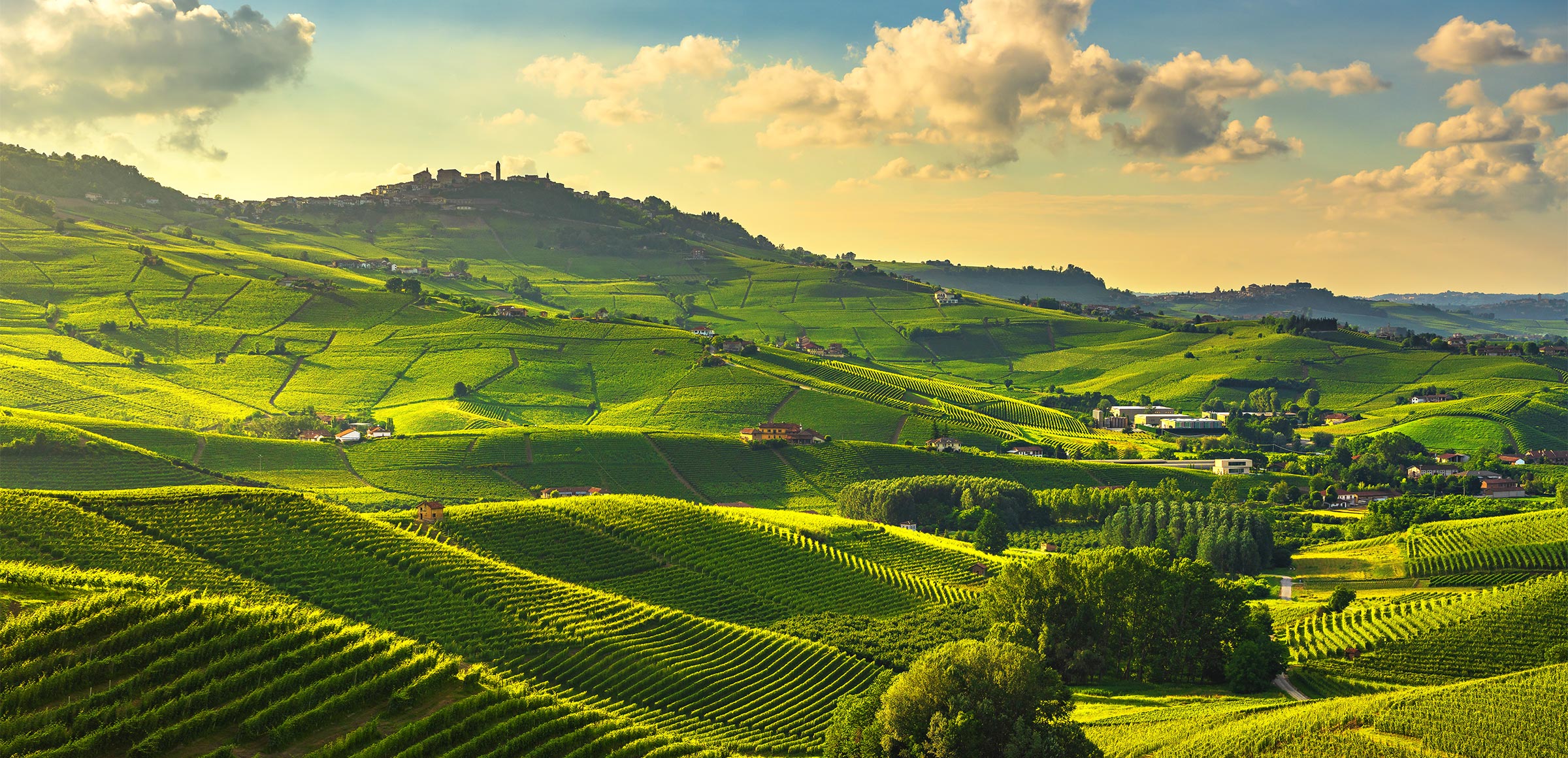 Agricoltura rigenerativa cos’è, principi ed esempi Enel Group